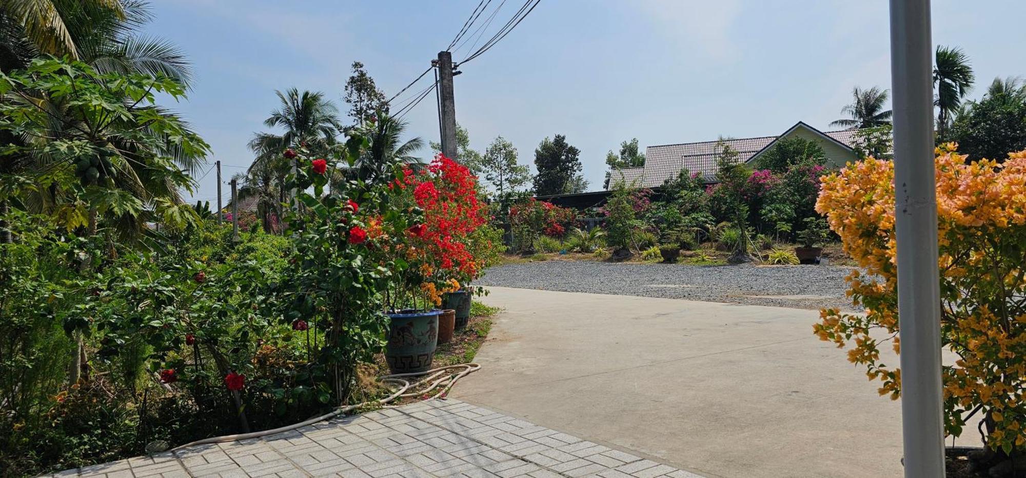 Nha Nghi Truc May Ben Tre Dış mekan fotoğraf
