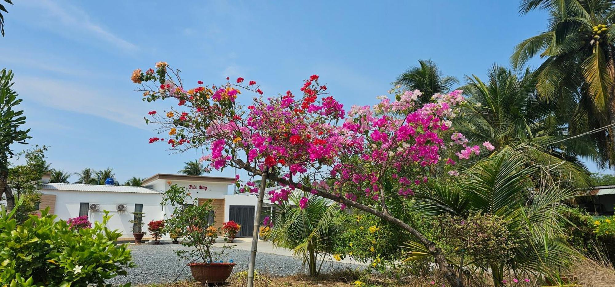 Nha Nghi Truc May Ben Tre Dış mekan fotoğraf